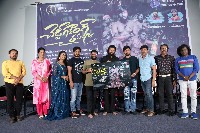 Cheddi Gang Movie Teaser Launch Gallery